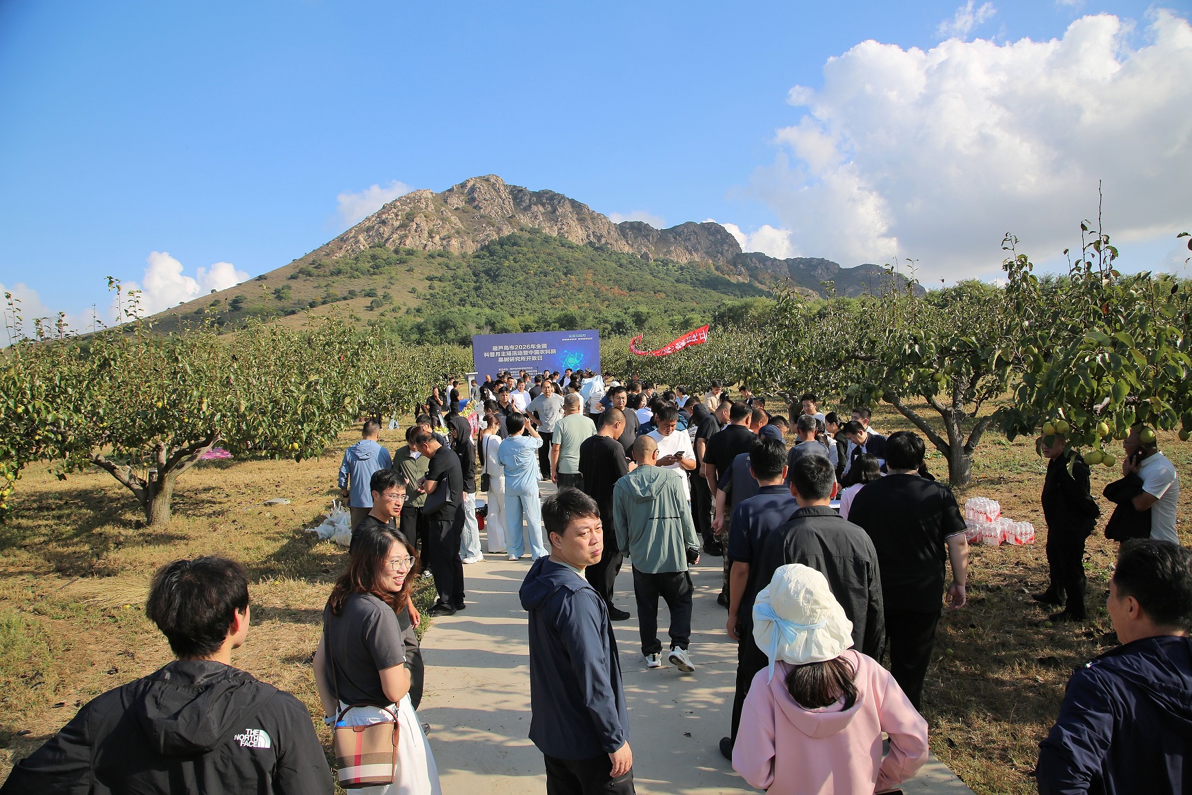 5.活动大场景.jpg